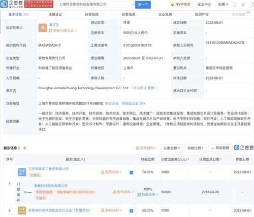 人工智能應用軟件開發 機遇、挑戰與實踐路徑